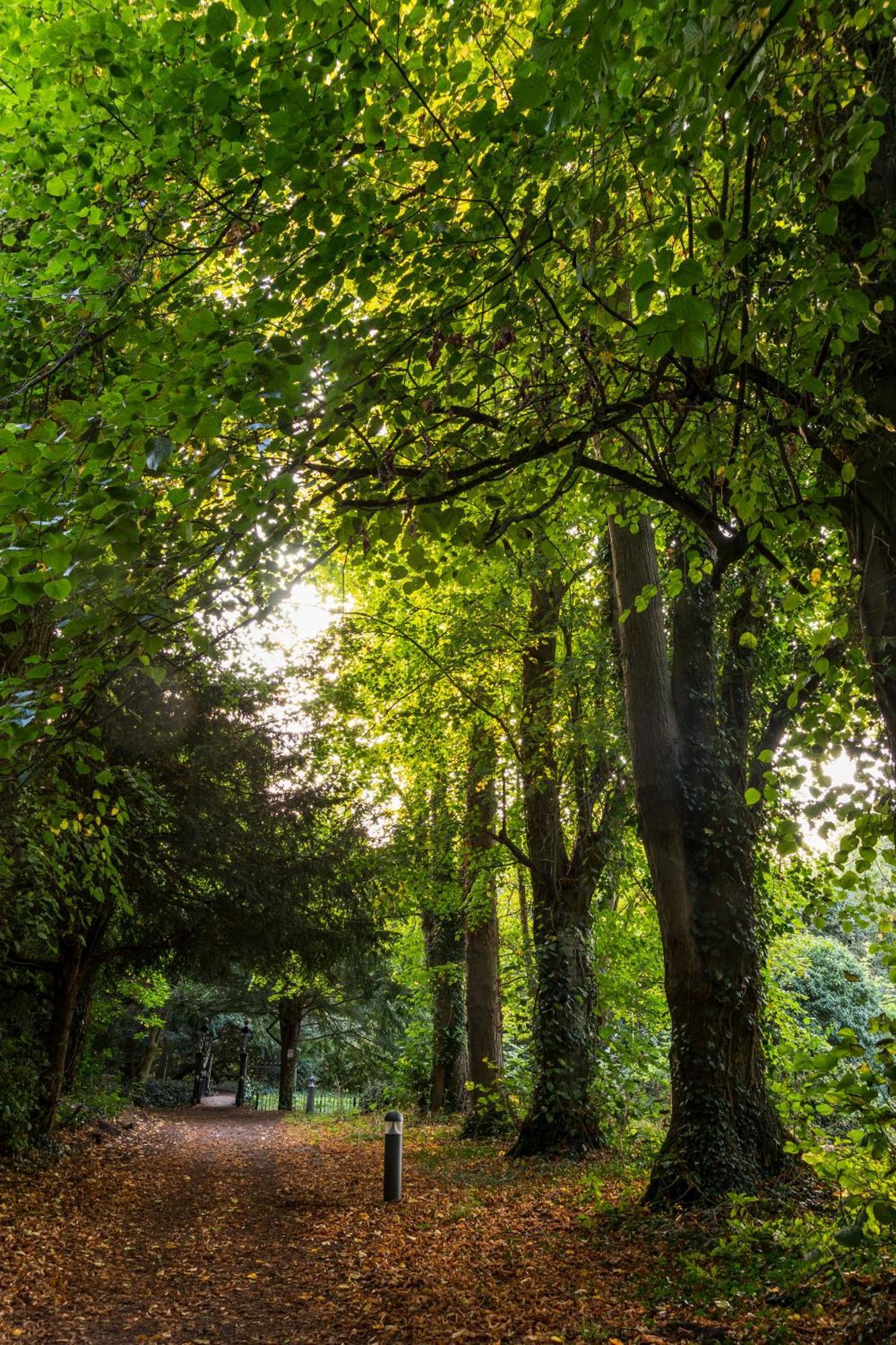 Bosworth Hall Hotel & Spa Market Bosworth Bagian luar foto